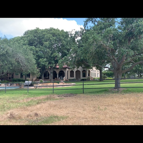 Meet your Posher, Franki - Picture 10 of 10